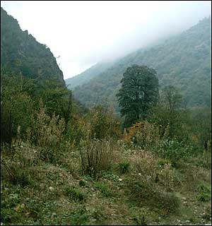 interactivity user photos