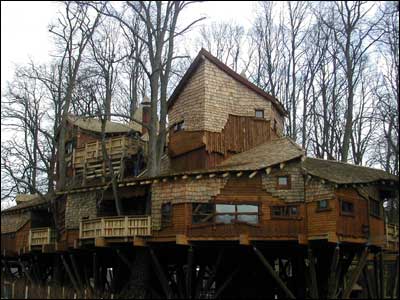 Front view of the treehouse.