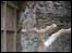 Eagle Owl