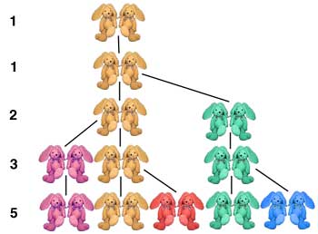 Fibonacci Rabbits
