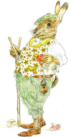 Lilop is one of the characters in Romany Wood, written and illustrated by Beshlie