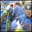 Trabalhadores do Leste Europeu em fábrica de alimentos