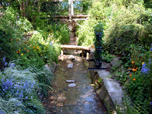 Sent in by Edward Otto - his London garden 
