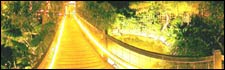 Tropical World bridge