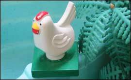 Chick-pea rules the roost