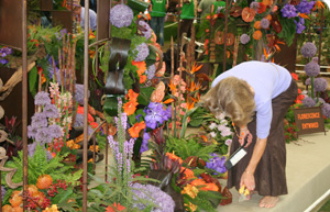 The ladies of NAFAS maintain their display