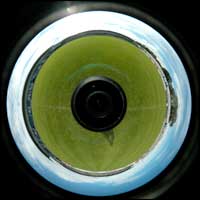 Unprocessed image of the Buck's Head, Wellington