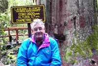 Coeden 2,600 mlwydd oed, 57 metr o uchel ym Mharc Los Alceres