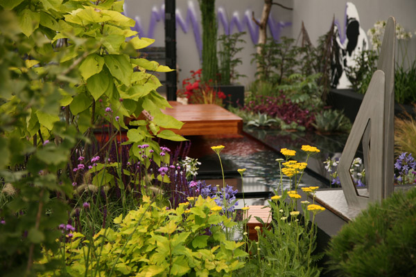 Save a Life, Drop the Knife