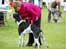 Dog show