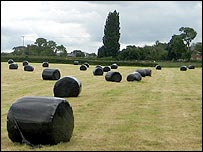 Stage Seven - A field near Ashby Magna