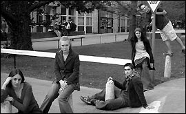 Pineapples Don't Grow on Trees!