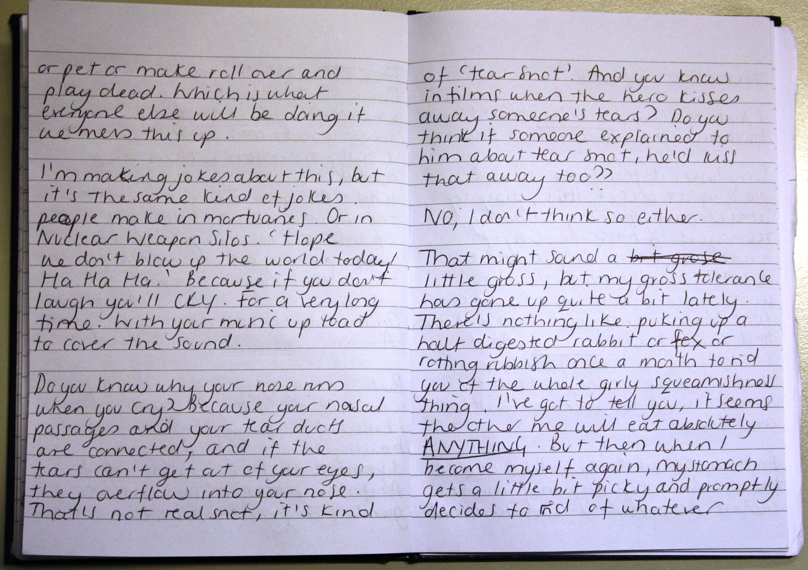 Bloodhound Diary Entry Page 2