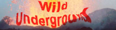 Wild Underground