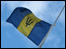 Barbados flag