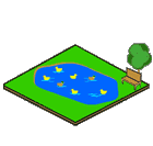 Pond