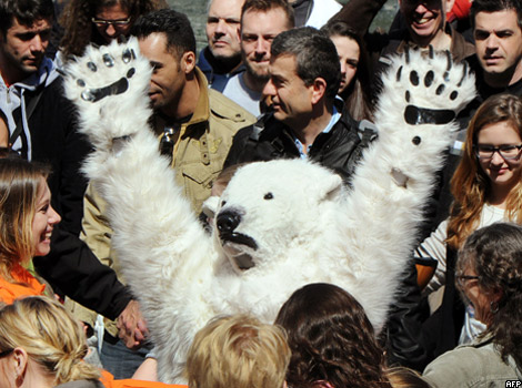 Man dressed in a polar bear costume