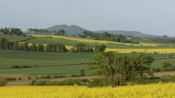 The extinct volcano Largo Law hill in Fife stands in the background of this photo by John Ballantyne of Markinch.