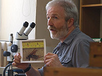 George filming for the insect inspection film