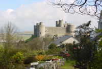 Castell Harlech 