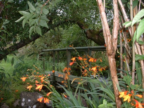 here is one of my favorite pics ,of a bridge i made