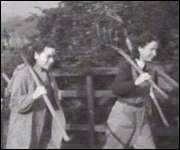 Bu rhaid i fenywod gweithio'r tir