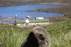 The Bird Island Research Station (plus seal) (credit: British Antarctic Survey)