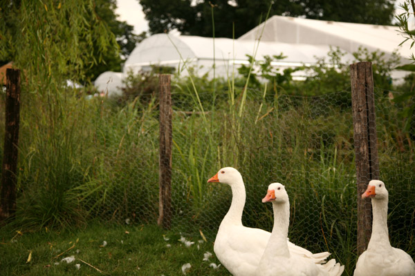 The Edible Garden, Hampton Court Palace Flower Show 2011