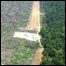 Área desflorestada na Amazônia