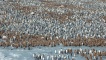 The king penguin colony at St Andrews Bay, South Georgia.