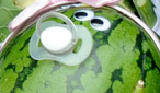 Surely this can't be a selection of vegetables in a pram with eyes and nappies?