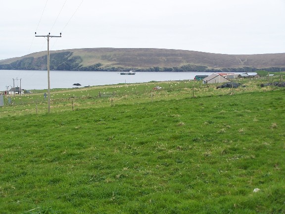 Greenpeace visits Fetlar.